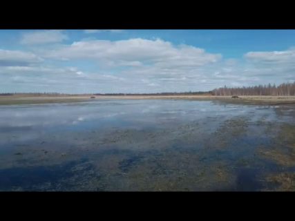 Встряли все в Магадане « автомагадан